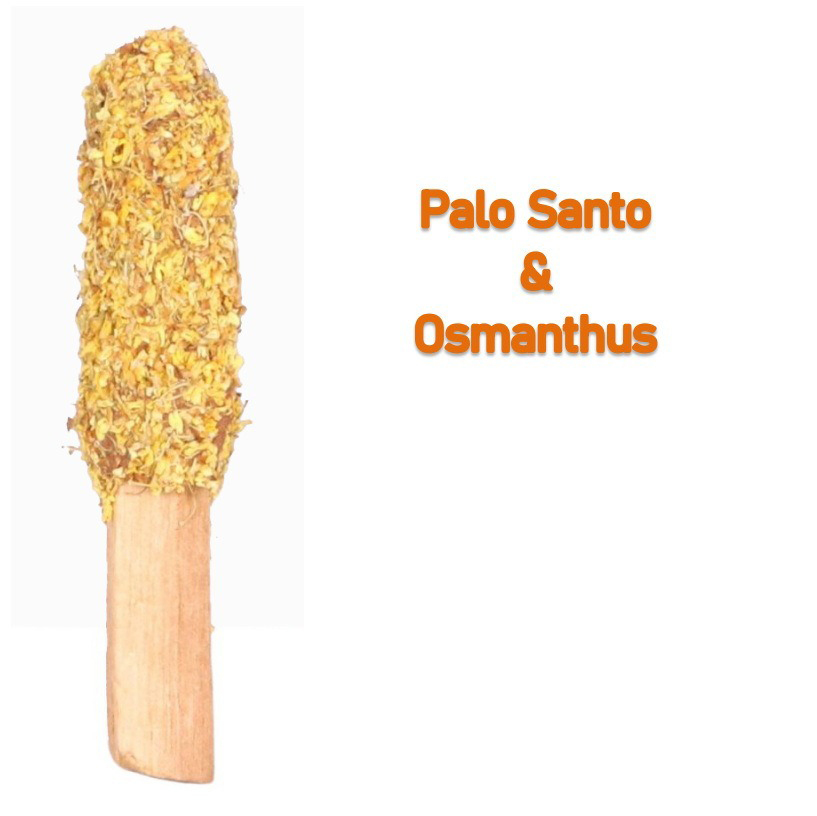 Varilla aromática de flor de Osmanthus de madera sagrada marrón 8-14g
