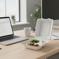 Conteneur alimentaire de voyage Oasis 8 pouces, écologique, biodégradable, en bagasse, étanche, résistant à la graisse, jetable, à 3 compartiments, avec couvercle
