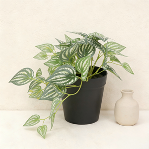 Mini plante artificielle <span class=keywords><strong>Bonsaï</strong></span> Petite plante <span class=keywords><strong>en</strong></span> <span class=keywords><strong>pot</strong></span> Plante à feuilles vertes blanches dans <span class=keywords><strong>un</strong></span> <span class=keywords><strong>pot</strong></span> <span class=keywords><strong>en</strong></span> plastique avec faux sol pour la décoration du rebord de fenêtre à la maison - Product Image 1