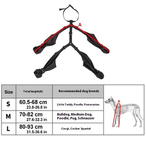 Chaussures pour chien confortables et respirantes toute l'année, imperméables, anti-salissures, fournitures pour animaux de compagnie pour les activités transfrontalières - Product Image 3