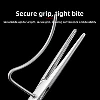 Pince de ligature ovarienne vétérinaire pour chat et chien, en acier inoxydable médical, à tête droite/courbée, pince fixe