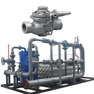 Vanne de régulation 63EG pour régulateurs de pression de gaz avec applications de soupapes de décharge pilotées pour montage sur châssis - Product Image 1