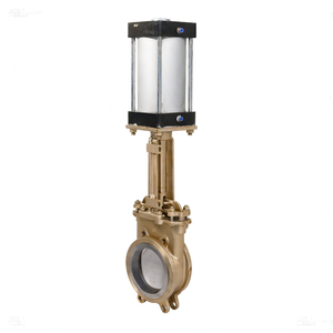 Venta de Liquidación COVNA B2B, Válvula de Cuchilla Industrial de 8 Pulgadas, Opciones de Acero Inoxidable y Hierro Fundido para Servicios de Lodos y Aguas Residuales - Product Image 2