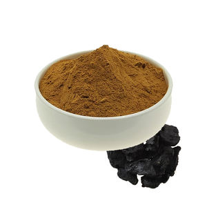 Extrait de Radix Rehmannia Glutinosa Naturel en Gros, Catalpol 10%, Extrait de Rehmannia - Product Image 1