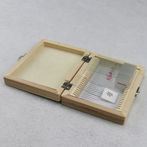 Биология, медицинская медицина, высокое качество и Лучшая цена, БОТАНИКА И зоология, миоз, миоз, приготовленный набор слайдов для обучения выше - Product Image 2