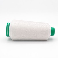 Hilo de Nailon Teñido en Masa Ecológico 70D/24F DTY, Resistente a la Decoloración, Alta Uniformidad de Color para Ropa Deportiva