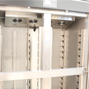 Congélateur commercial vertical à quatre portes en acier inoxydable à économie d'énergie, avec refroidissement par air, pour la conservation des raviolis - Product Image 5