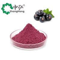 100% puur natuurlijk gedroogd zwarte bessen fruitpoeder, rauw zwarte bessen extract zonder toevoegingen, plantenextract