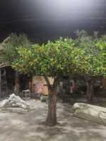 Grand arbre artificiel orange personnalisable avec fruits réalistes, tronc en fibre de verre, pour la décoration d'hôtels, de restaurants, de fêtes et d'événements commerciaux