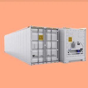 Высококачественный 40-футовый РЕФРИЖЕРАТОРНЫЙ контейнер с морозильной камерой