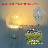 Ampoule LED de croissance de chrysanthème-Importation de Chine, adaptée aux conditions météorologiques extérieures côtières du Japon, améliore la photosynthèse