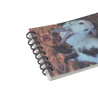 Fournitures scolaires, papeterie, reliure spirale, couverture rigide en PP/papier, écologique, mini-agenda A6, 80 feuilles, promotionnel, personnalisé