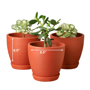 Juego de 4 Macetas de Terracota Kullad Hechas a Mano para Interiores y Exteriores, Balcón, Terraza, Jardín, Decoración del Hogar, Macetas Rústicas de Arcilla - Product Image 1