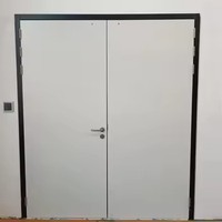 Porte intérieure moderne en acier inoxydable ignifuge avec surface finie pour atelier et hôtel
