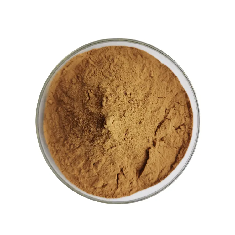 Pure Natural Reishi Mushroom Ganoderma Lucidum Extract Powder