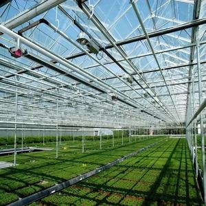 <span class=keywords><strong>Serre</strong></span> en verre moderne, recouverte de verre, est utilisée pour la culture de cultures et de légumes (comme la laitue, le <span class=keywords><strong>basilic</strong></span>). - Product Image 6