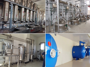 Экстракт гиностеммы пентафиллум премиум-класса 80% гипенозидов | Натуральный адаптоген и антиоксидант - Product Image 5