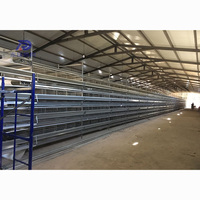 Edificio de Acero de Varios Pisos para la Cría de Aves de Corral