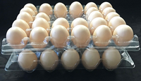 Barquettes à œufs en plastique transparent bon marché, boîte à œufs, barquette à œufs en plastique avec poignée