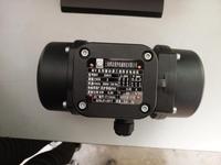 Chinesische Herstellung Elektrischer Marokkanischer Motorvibrator 220V MVE-Serie Vibrationsmotor