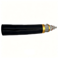 Cable de Alimentación Industrial Subterráneo Multifilar de Acero, Conductor de Cobre Blindado, Aislamiento de PVC, Revestimiento de PVC, IP65, Alto Voltaje