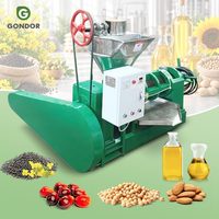 1-2t/u 3 T/u Pinda-extractie koudgeperste mosterdmolenproces palmoliepersmachine installatie in Pakistan