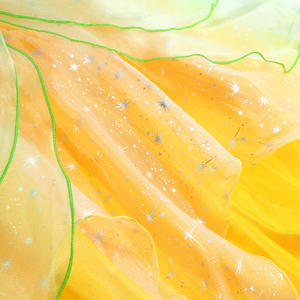 ชุดทิงเกอร์เบล ชุดเด็กเอลฟ์ ชุดเจ้าหญิงเทียน่า ฮาโลวีน คอสเพลย์ นางฟ้าสีเขียว - Product Image 5