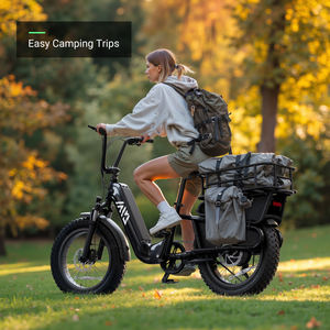 Famille 48v 750w frein à disque vélo électrique  enfants avant près de la boîte famille longue queue électrique <span class=keywords><strong>Cargo</strong></span> Ebike - Product Image 2