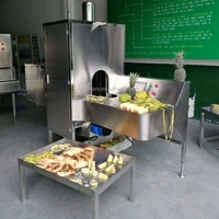 Industriële Mango Zaadverwijderaar Oranje Fruit Schilmachine