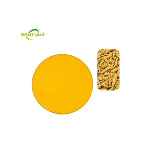 Suministro de fábrica, polvo de curcumina orgánica de grado alimenticio, extracto de hierbas 95% puro, embalaje de tambor de cúrcuma - Product Image 4