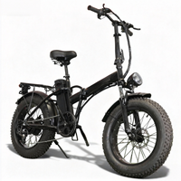 Moto électrique pliable Paige 48V haute vitesse 800W pour adulte, personnalisable, directement du fabricant