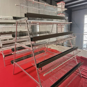 Nouvelles cages à poules pondeuses automatiques de type H à trois niveaux, de haute qualité et <span class=keywords><strong>au</strong></span> juste prix, avec alimentation et abreuvement automatiques - Product Image 5