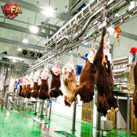 Équipement d'abattage de bétail industriel, machines de transformation de la viande, installation d'abattoir, usine de transformation de la viande bovine industrielle complète