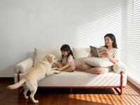 Komprimiertes Vakuum-Versiegeltes Modulares Sofa mit Rotem Gebogenem Metallrahmen, Kindersicherer Abgerundeter Ecken, Platzsparendes Wohnzimmer-Couch