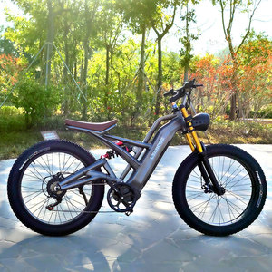 <span class=keywords><strong>Meilleur</strong></span> <span class=keywords><strong>prix</strong></span>, fabricant de haute qualité, vélo électrique de montagne de couleur grise 350/500/750/1000W - Product Image 3
