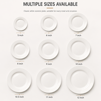 Vaisselle de style occidental en gros assiettes plates en céramique blanche pure peu profonde pour la maison hôtel fête utilisation-assiettes à steak