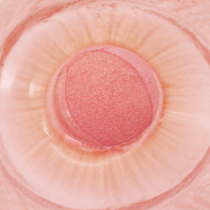 Bombas de Baño al por Mayor, Certificadas por GMPC e ISO, Bolas de Sal para Baño, Aromaterapia, Veganas y Naturales, Proveedor Mayorista - Product Image 3