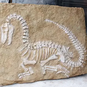 Dekoration lifesize realistische dinosaurier fossil