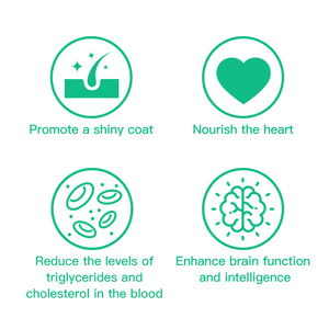 Compléments alimentaires pour chats et chiens - Huile de poisson de saumon oméga-3 en gummies - Santé du cerveau et des cheveux - Product Image 2