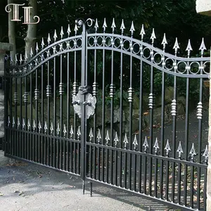 Livraison gratuite de porte de jardin en fer forgé, boîte de haute qualité, modèles de porte principal de maison, voie d'entrée