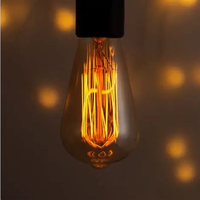Ampoules Edison Vintage Antique à Filament, Grand Angle de Faisceau, Diamètre 64mm, ST64 40W 60W, Culot E26 E27, pour Suspension Loft Cage à Oiseaux