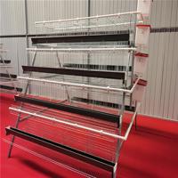 Cage à poulets de type A à 4 niveaux et 5 portes, système de cages en batterie galvanisé à chaud, capacité de 128 oiseaux par ensemble, équipement d'élevage avicole
