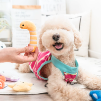 Divers modèles d'animaux de l'océan Jouet en peluche pour chien Petits jouets à mâcher pour chiot en peluche avec couineur