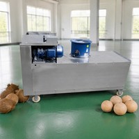 Machine automatique commerciale de décorticage et de polissage de noix de coco brunes, machine à éliminer les fibres de noix de coco