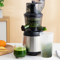 Extracteur de jus électrique Big Mouth, machine en acier inoxydable, jus de fruits et légumes, jus d'orange, presse à froid, extracteur de jus lent à mastication