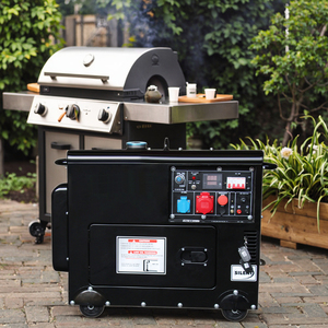 Groupe électrogène domestique compact bi-énergie (GPL et essence) triphasé 380V avec ATS, options de 2KW à 8KW - Product Image 3