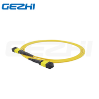 Kabel Patch Trunk Single Mode MPO ke MPO OS2 12 Core 9 125 Fiber Jumper untuk Jaringan Pusat Data Berdensitas Tinggi