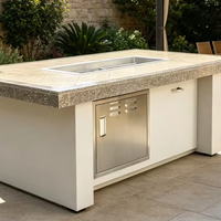 Table de barbecue à gaz en acier inoxydable, étanche et résistante aux intempéries, avec protection haute pression, facilement assemblable, et bouton de gaz propane