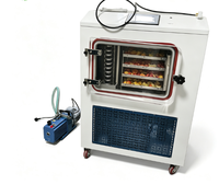 Batch Mini Vriesdroger Kleine Vacuüm Vriesdroger Voedsel Lyofilisator Kleine Vriesdroogmachine