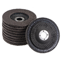 Disque à lamelles flexible incurvé de 4 pouces 100mm grain 80 60 meule abrasive en carbure de silicium pour le polissage des métaux Outil abrasif pour le verre